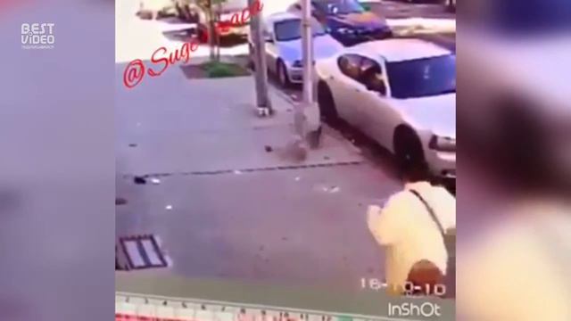 Страшнее кошки зверя нет смотреть онлайн