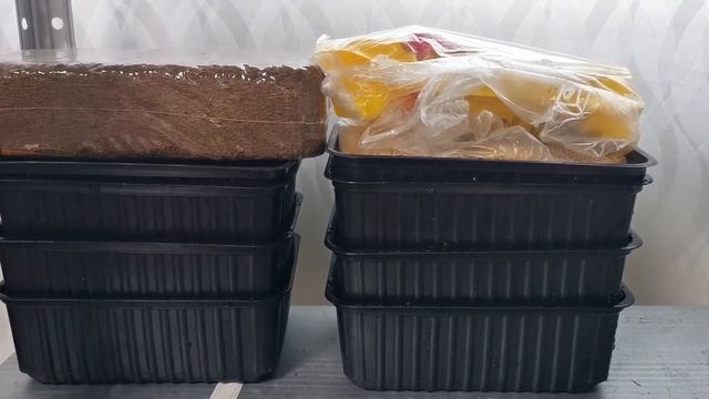 Прижим для микрозелени подсолнечника - Огород на окне круглый год #микрозелень #огород #дача смотреть онлайн