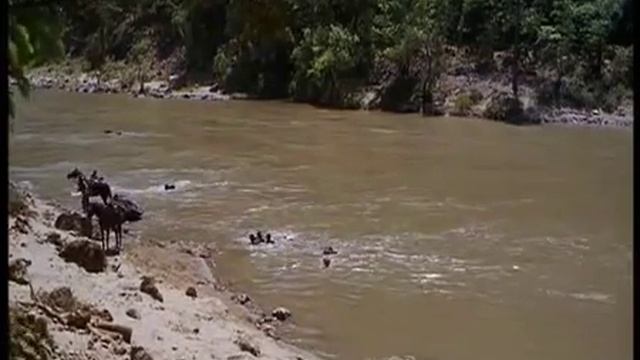 Валерий Ободзинский Старый гриф стервятник К ф Золото Маккены смотреть онлайн