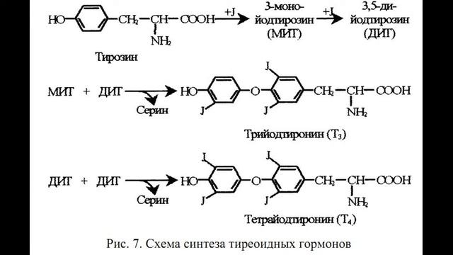 Лечение печени народными средствами смотреть онлайн