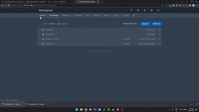 How To Install Metamod, Sourcemod & Add Admins On Your Game Server [Install Plugins And Mods] смотреть онлайн