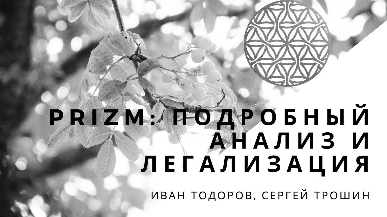 PRiZM: подробный анализ и легализация смотреть онлайн