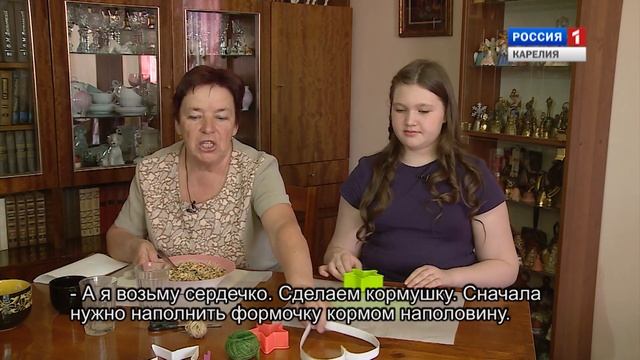 Kotosalla. Кормушки для птиц