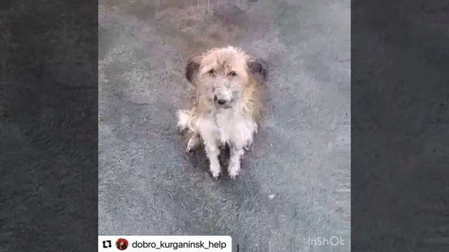 Девочка Тильда ищет свою семью инфо в приложении контакт Юлиана Ким смотреть онлайн