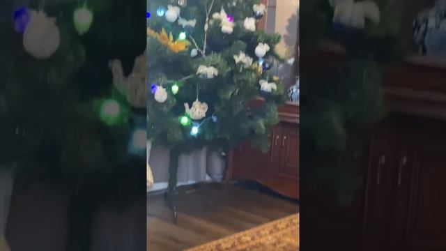 Аккуратист