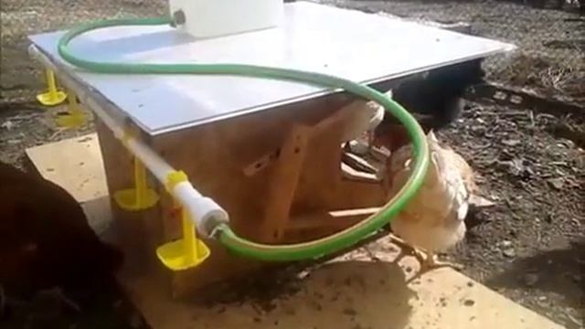 Такое мало кто видел! ! ! смотреть онлайн