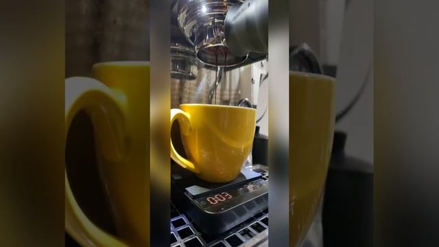 مشهد لن تصدقة اوجد اللغز في المشهد смотреть онлайн