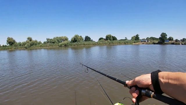 Эта насадка выловит всего карпа в водоеме! Ловля карпа на платнике. Карпфишинг 2020 в августе смотреть онлайн