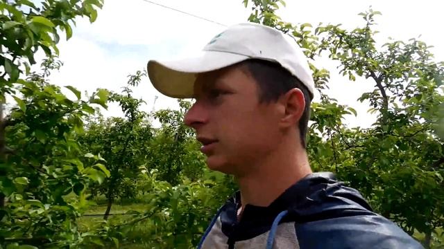 Опрыскивание против плодожорки.Инсектицид Кораген. смотреть онлайн