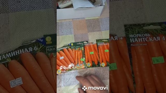 ОБЗОР МОРКОВИ ДЛЯ НОВОГО СЕЗОНА 2023Г. ОГОРОД НА КУБАНИ. shorts# смотреть онлайн