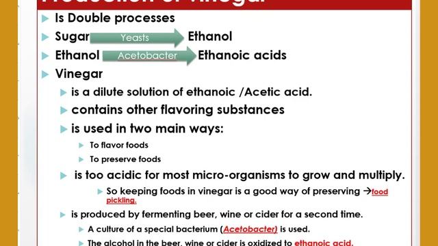 Uses of Bacteria in Industrial processes смотреть онлайн