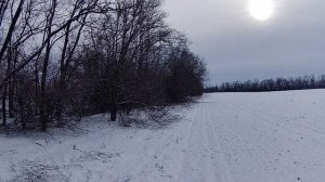 Чёткий выстрел на грани - охота на зайца