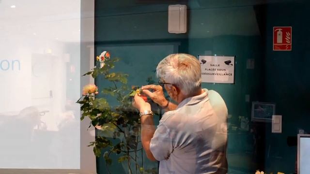 Conférence Dominique MASSAD смотреть онлайн