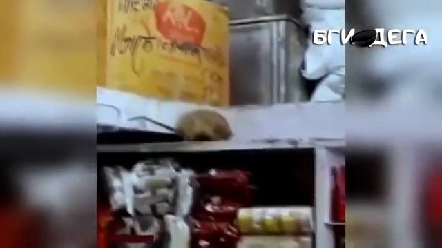 Таджикиский прикол ханда ханда