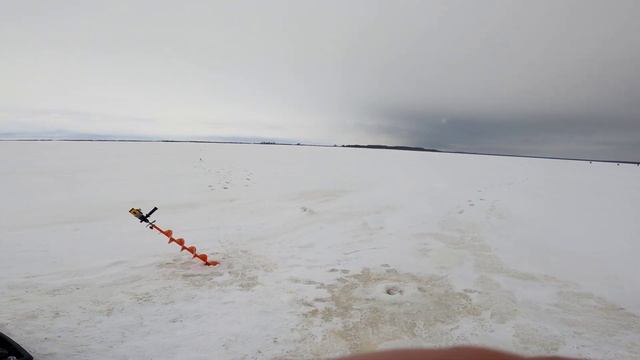 ТАКООООЙ РЫБАЛКИ У НАС ЕЩЁ НЕ БЫЛО!!!НА РЫБИНСКОЕ С ЖЕРЛИЦАМИ!!! ШОООК!!! смотреть онлайн