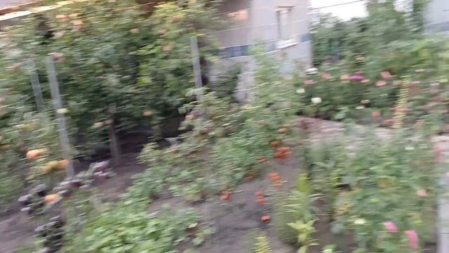 Ми з України??НАВОЖУ МОСТЫ ДРУЖБЫ... смотреть онлайн
