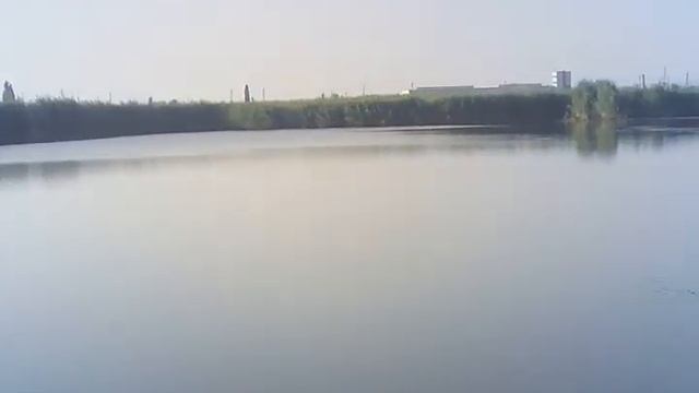 Мая рыбалка с катом смотреть онлайн