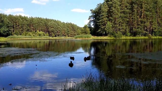 Старое озеро(1) смотреть онлайн