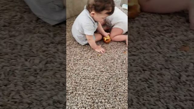 Funny baby twins brothers fighting for food apple - Funny Twin Video смотреть онлайн