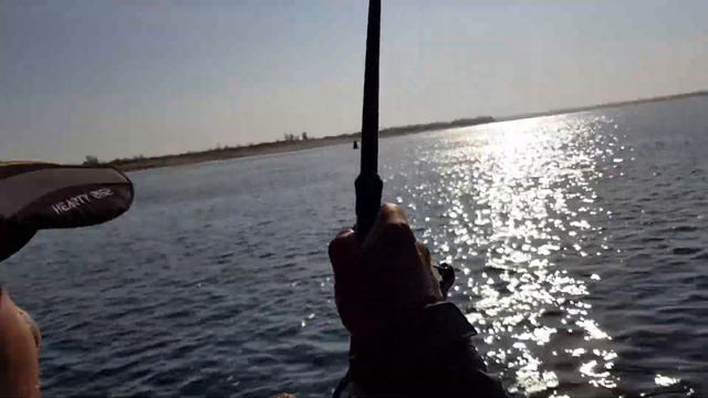 PAL 2019. Финал. Тренировка. Щука на 10 кг. Экипаж Team Dubna. Шабалин - Евтисов смотреть онлайн