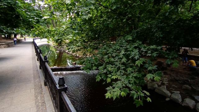 Крым, Симферополь, 8 июня 2024 г. смотреть онлайн