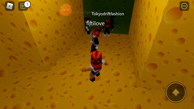 РОБЛОКС убегаем от крысы в сырном лабиринте ROBLOX с Миланой смотреть онлайн