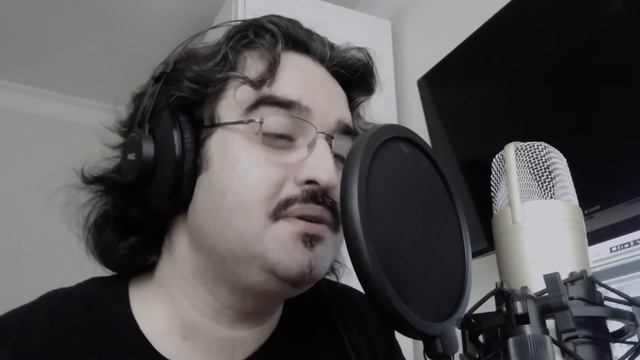 You're My Heart You're My Soul (Modern Talking Acoustic Cover) смотреть онлайн
