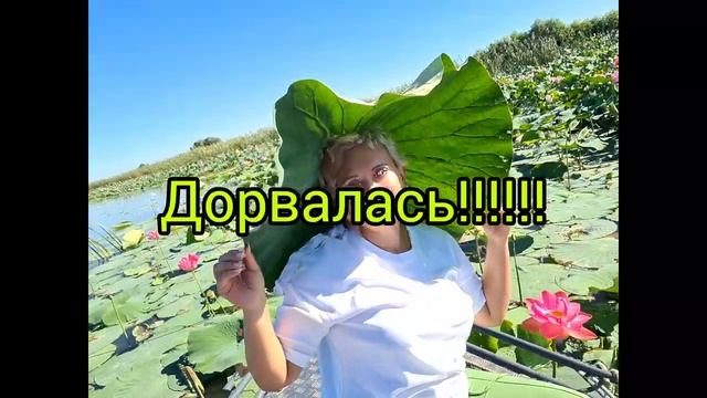 Рыбалка!Астрахань.База отдыха "Дом Солнца"Путешествие на машине из Екатеринбурга.25.08.2022г смотреть онлайн