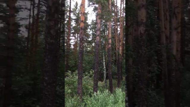 УральскиеГоры. Вынужденные остановки. Челябинск-Уфа. 1694 км от Москвы. М5 Урал. смотреть онлайн
