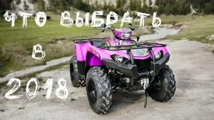 Какой квадроцикл купить в 2019 году. Какой квадроцикл лучше купить