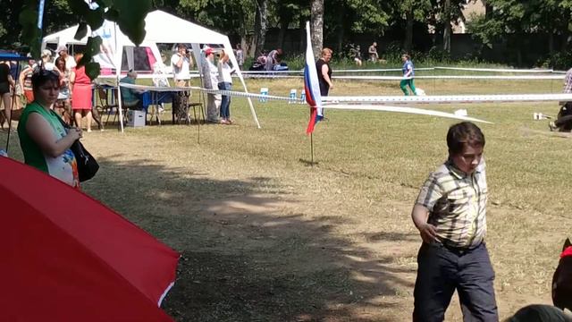 Тандем Альянс Эшольция БелаяСтая Еша на выставке собак в Раменском 08.06.2019 смотреть онлайн