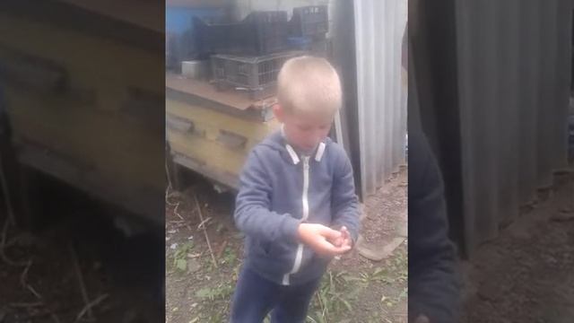 Видео про ужа смотреть онлайн