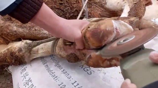 Nekrobakteriozni Davolash. //КРС.