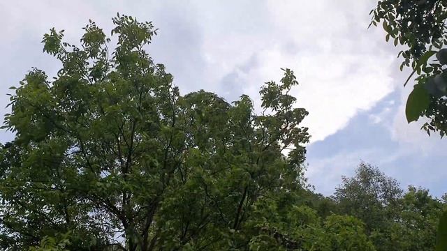 Шквал магнитных бурь в июне 2022 смотреть онлайн