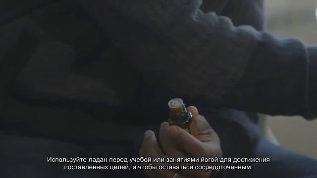 Ежедневная порция doTERRA. День 9. Улучшение деятельности мозга с маслом ладана смотреть онлайн