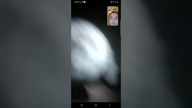 РОДЫ КОШКИ СЛП!!! смотреть онлайн