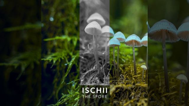 The Spore смотреть онлайн