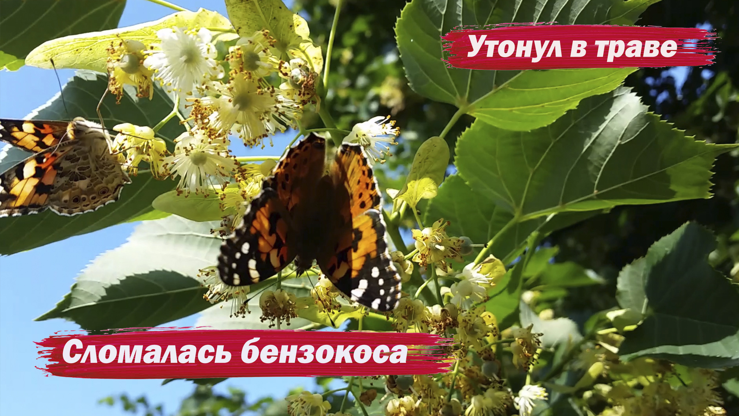 Утонул в траве смотреть онлайн