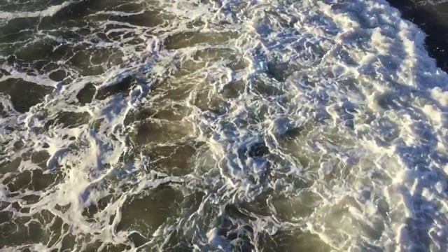 Elizabeth's Oracle - Sun Into Sagittarius 2015 смотреть онлайн