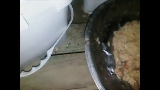 Малыши рвутся на волю Кашка для малявок смотреть онлайн