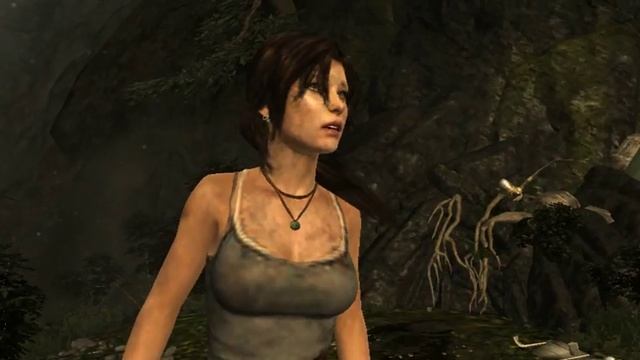 Tomb Raider 2013  Test Intel Hd Graphics 3000