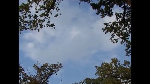 СЕРГЕЙ  ГРЕБЕННИКОВ. ТЫ  БРОСАЕШЬ МЕНЯ  В БЕДЕ. МУЗ. ЛЕВ  РОСТОВСКИЙ