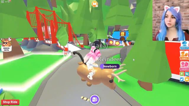 ОДЕЖДА ДЛЯ ПИТОМЦЕВ||АДОПМИ||КОШКА ЛАНА|| смотреть онлайн