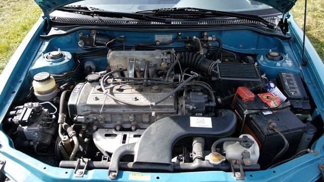 Орнаменты Сознания