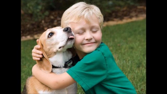 «Моя семья- мое богатство» смотреть онлайн