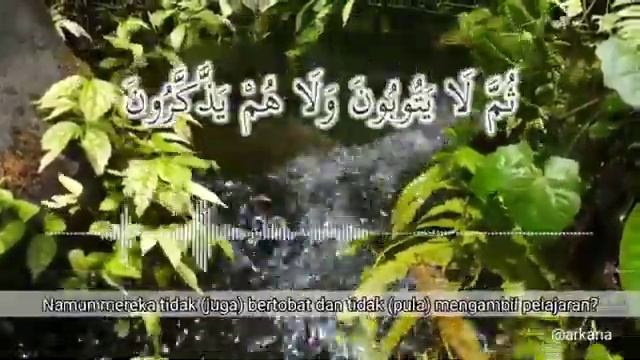 Fauzi Hasibuan versi syach:sudais salah satu santri pondok as-syarofiyeh barisa kembang jeruk смотреть онлайн