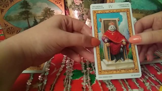 Гадание на таро Белых Кошек. Желание ?????))) сбудется ли мое желание??? смотреть онлайн