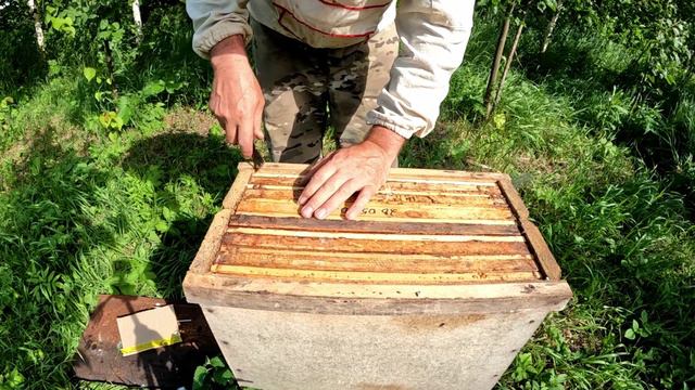 1 и 2 рой пойманный в ловушку смотреть онлайн