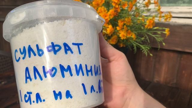 Всего 3 проверенных средства для выращивания красивой гортензии! смотреть онлайн