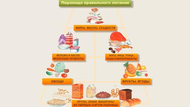 Основы рационального питания смотреть онлайн